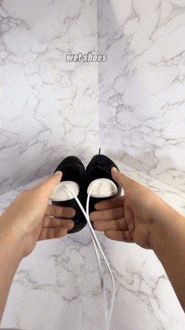 Secador de Calzado Electrico